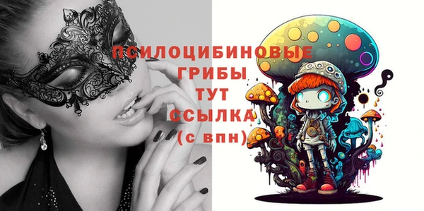 бошки Алзамай