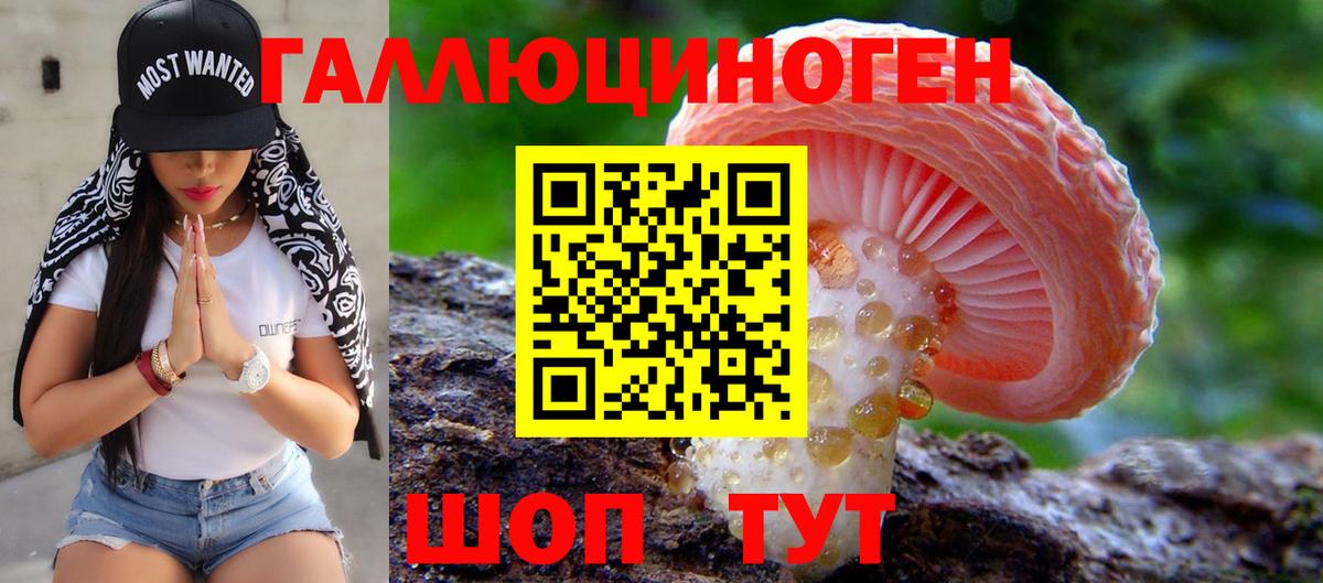 Солнечногорск  Галлюциногенные грибы Psilocybe  Вход с VPN  дарнет шоп  Галлюциногенные грибы MAGIC MUSHROOMS 